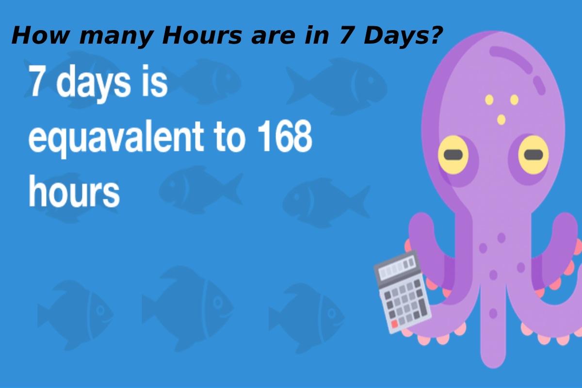 how-many-hours-are-in-7-days-marketing-marine-2022